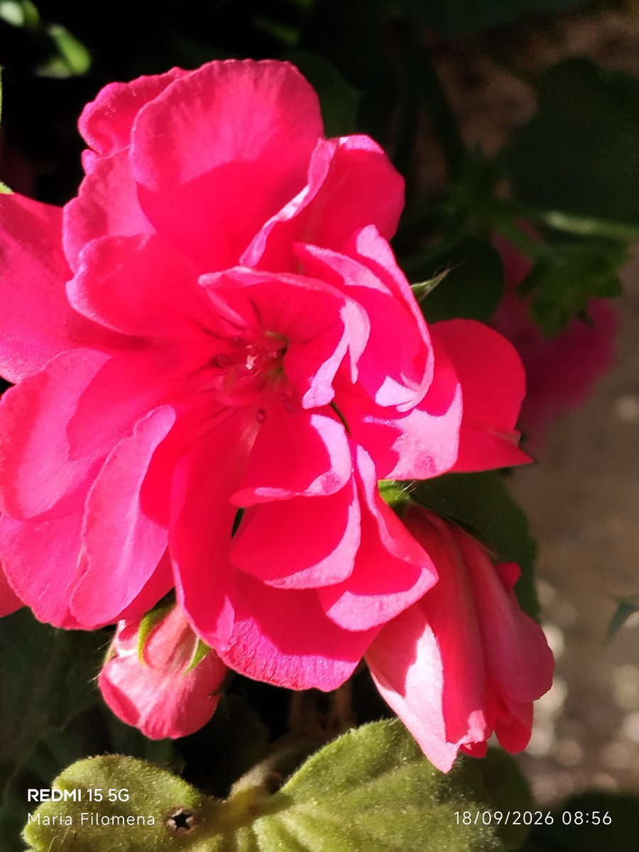 MariaUrso's tweet photo. https://t.co/jQOWRLuYOZ