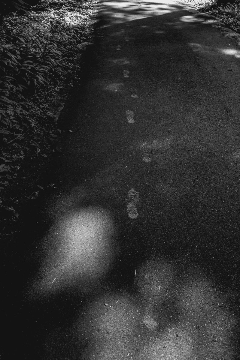 YSQ343's tweet photo. 足跡👣
#photo #LeicaQ3 #snap
#monochrome #モノクローム https://t.co/mKQzRfKuWs