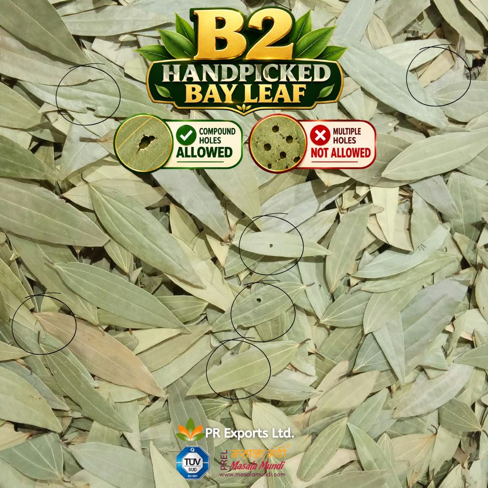prel_in's tweet photo. B2 Bay Leaf — The Holes Get Bigger. The Limits Stay Clear. 
✅ Compound holes allowed ❌ Multiple or clustered holes not allowedHonest grading. No hidden surprises.
📦 Bulk B2B supplies | https://t.co/AB30XMUUt3
#B2BayLeaf #HonestGrading #B2BSpices #PRExports https://t.co/ymTlV9cFng