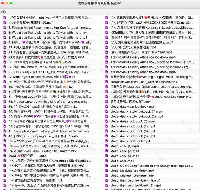 The image shows a file directory listing for "内衣丝袜 换衣写真合集 极致4K" (Lingerie Stockings Changing Photo Collection Ultimate 4K), displaying numerous video files in .mkv and .mp4 formats with titles in Chinese, Korean, and English, including model lookbooks, try-on hauls, and VLOGs from various models and creators.