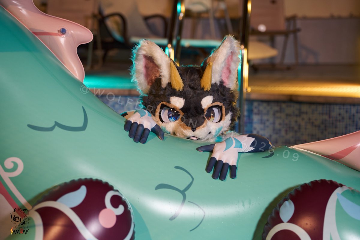 WolfDragonAoyi's tweet photo. 抓住夏天的尾巴，和苍灵一起在泳池畅游
Catch the tail of summer and swim in the pool with Wispy.
📸： @_SamRAY_  @Aheng_Media 
🐉 by @FactoryCreature 
#SqueakySaturday #zentai #FursuitEveryday https://t.co/mJ0JLLkfYO