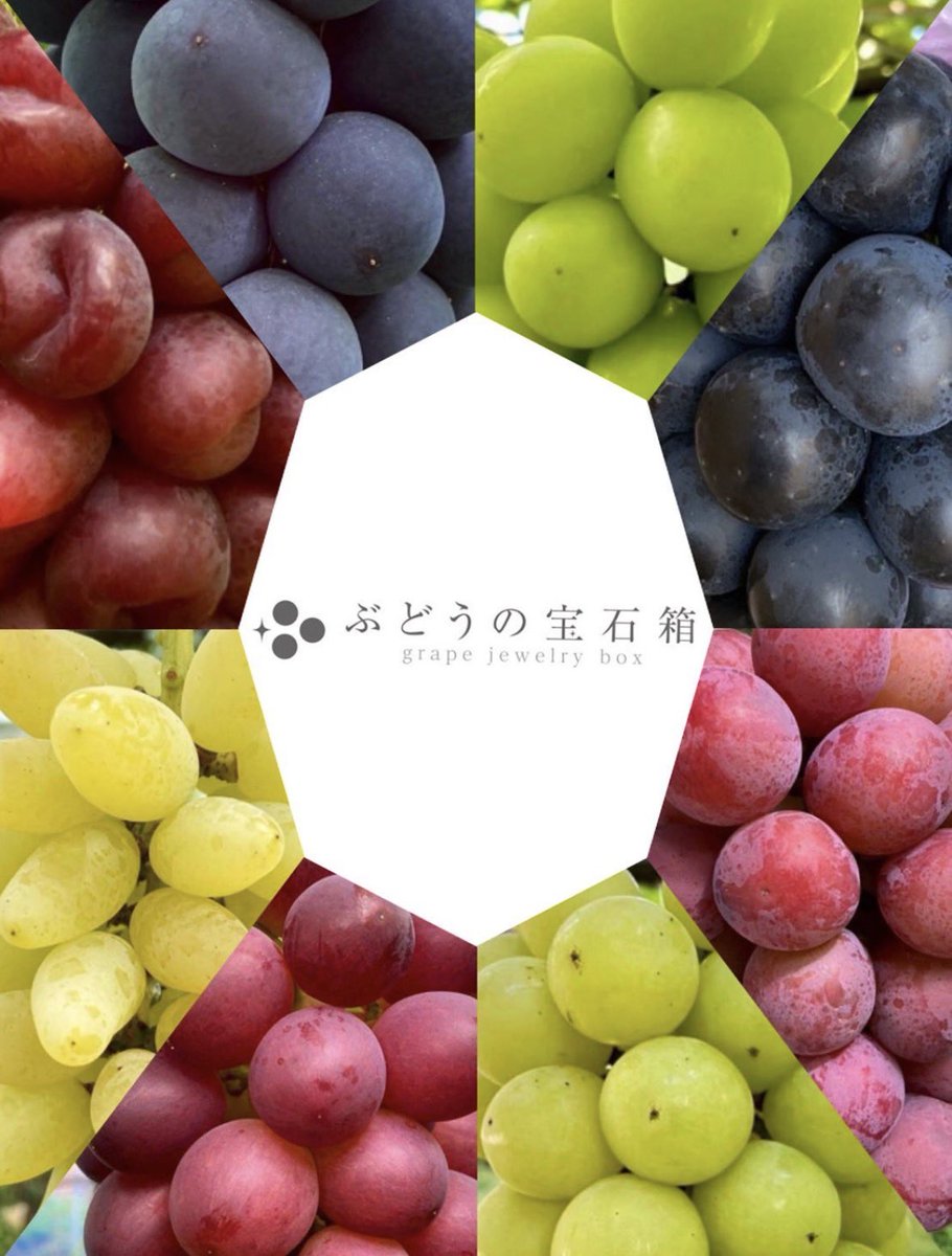 2100housekibako's tweet photo. ＢＤＵ総選挙2026にてみんなで選んだ
上位７種類のぶどう神セブンをふんだんに詰め込んだ【ぶどうの宝石箱 神】が爆誕🎁✨✨

第388回プレゼントキャンペーンをＸ＆Instagramで同時開催します⭐️

🍇応募方法🍇
フォロー＆
このポストをリポスト
〆切は１１日
日曜日２４時まで

【ぶどうの宝石箱 神セブン １ｋｇ】
７７７７円相当を

Ｘ１名Instagram１名の合わせて
２名様に
完全無料でプレゼント🎁✨

ぶどうの宝石箱Instagram➡️ https://t.co/LpPhEQCazX

【ぶどうの宝石箱 神セブン】が購入できるのは

ベイス➡️ https://t.co/dDpp9mrTfE

メルカリ➡️ https://t.co/SAyAlZC88Y