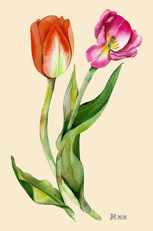HurmerintaArt's tweet photo. Orange and Pink Tulips Create A Great Duo. #wallart #cards #notebooks #tulips #watercolor #art
https://t.co/Ahf6sz0WGo https://t.co/NZNCuQkB3A