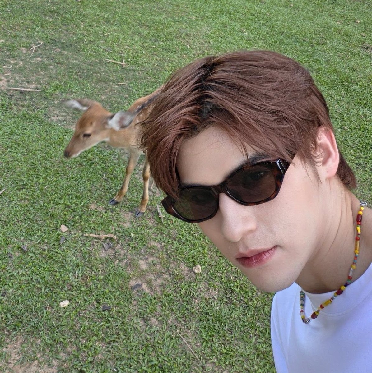 ppmntjm's tweet photo. เมะม๋าแดงมานหล่อเนอะ🫠❤️‍🩹 https://t.co/sQCqyYJmLb