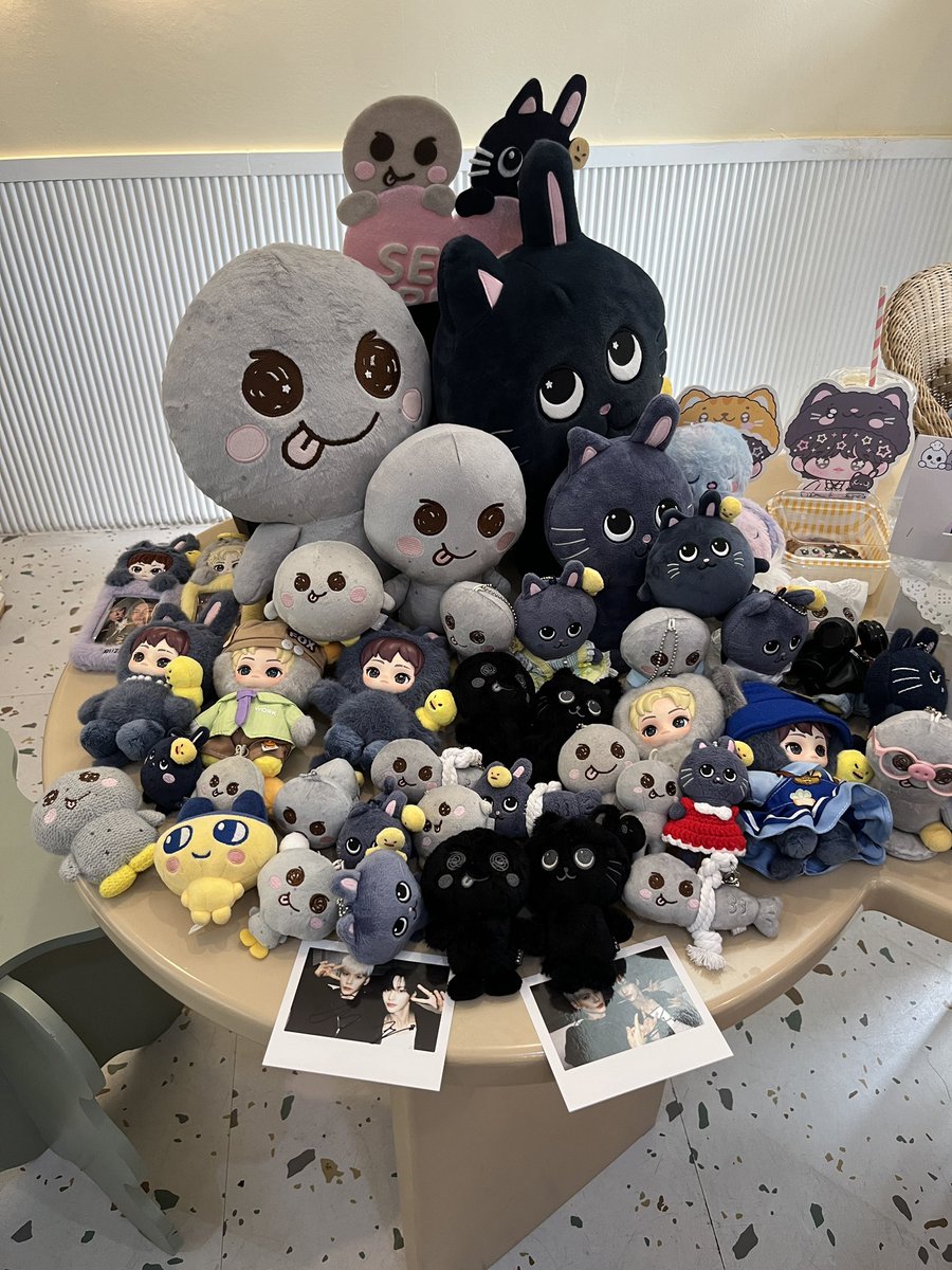 fl0weknow's tweet photo. 🪨🐈⬛ #CattrovertSB #3901room https://t.co/l5iosB9WcW