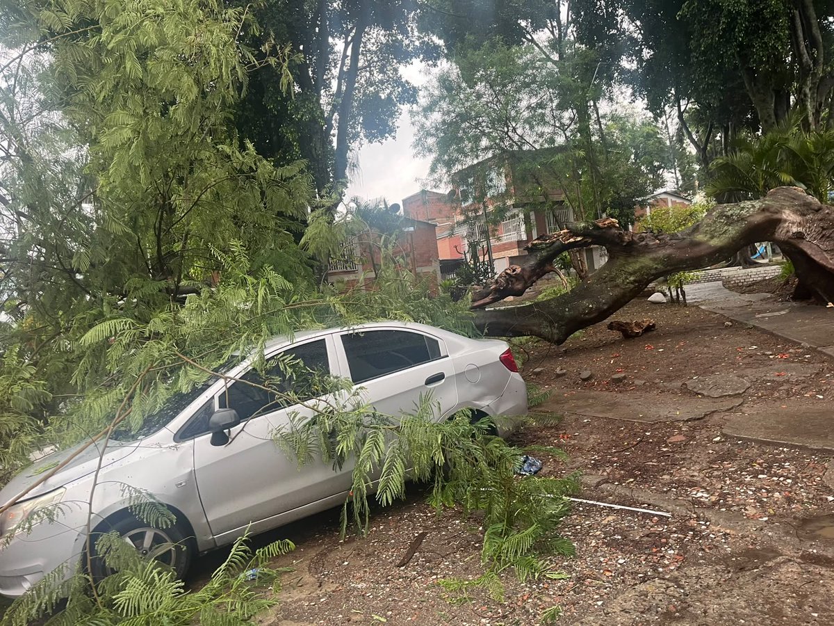 Palf24's tweet photo. Lo que dejan las lluvias de anoche y toda la madrugada 😿 Barrio Santa Barbara al norte de Cali #Colombia @Caracol_Cali @EnterateCali @adncali @ElTiempoCali @ELTIEMPO https://t.co/Pn8BXuFJiL