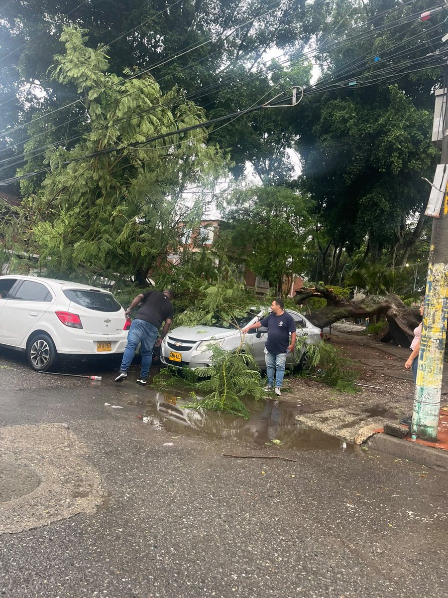 Palf24's tweet photo. Lo que dejan las lluvias de anoche y toda la madrugada 😿 Barrio Santa Barbara al norte de Cali #Colombia @Caracol_Cali @EnterateCali @adncali @ElTiempoCali @ELTIEMPO https://t.co/Pn8BXuFJiL