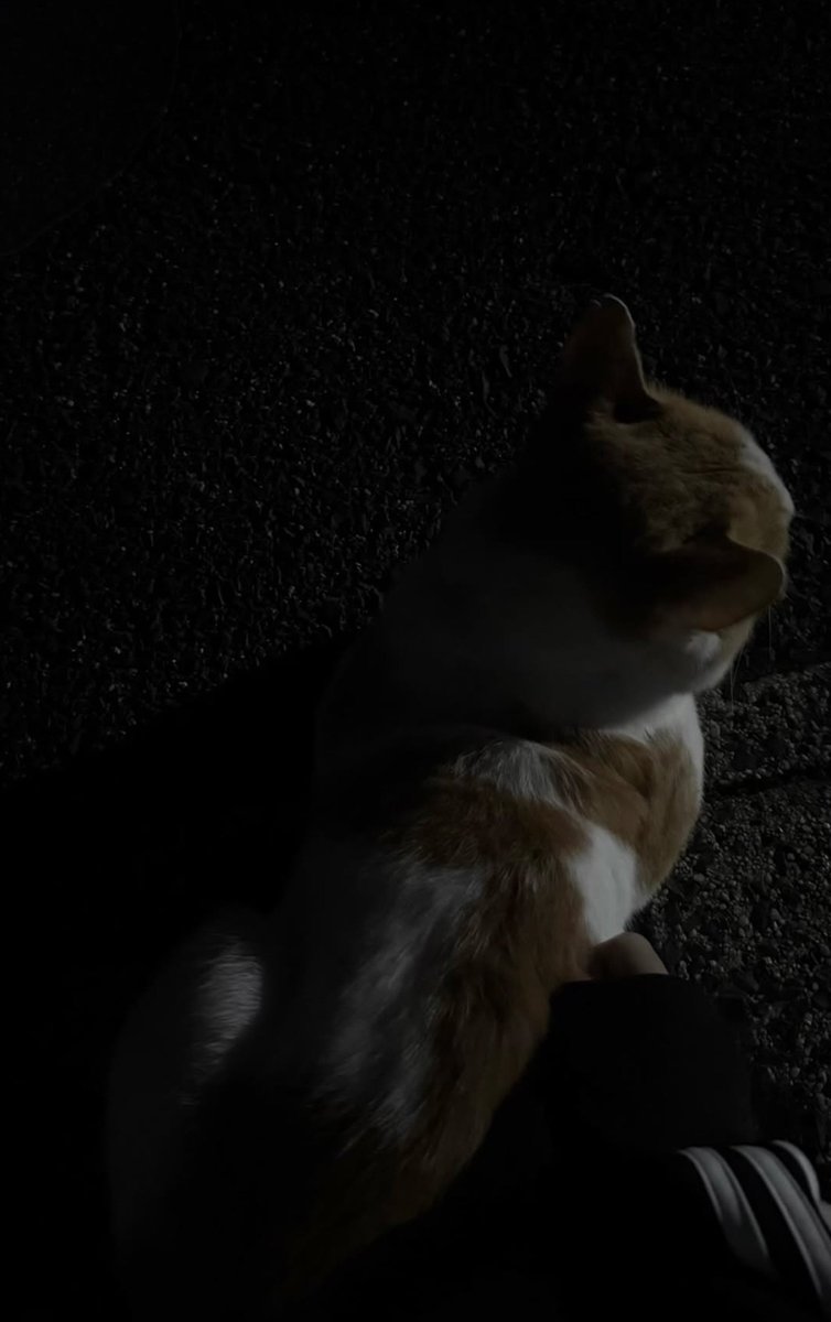 fx9q0l7's tweet photo. 君になりたい https://t.co/a0Nxu3sWNH