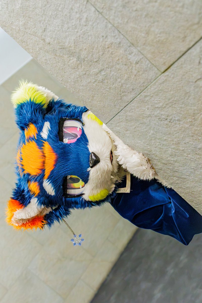 kjms903's tweet photo. ユッピめっっっちゃ可愛い

#퍼레이드2026 #furraid #furraid2026 https://t.co/vKJtIgPNvG