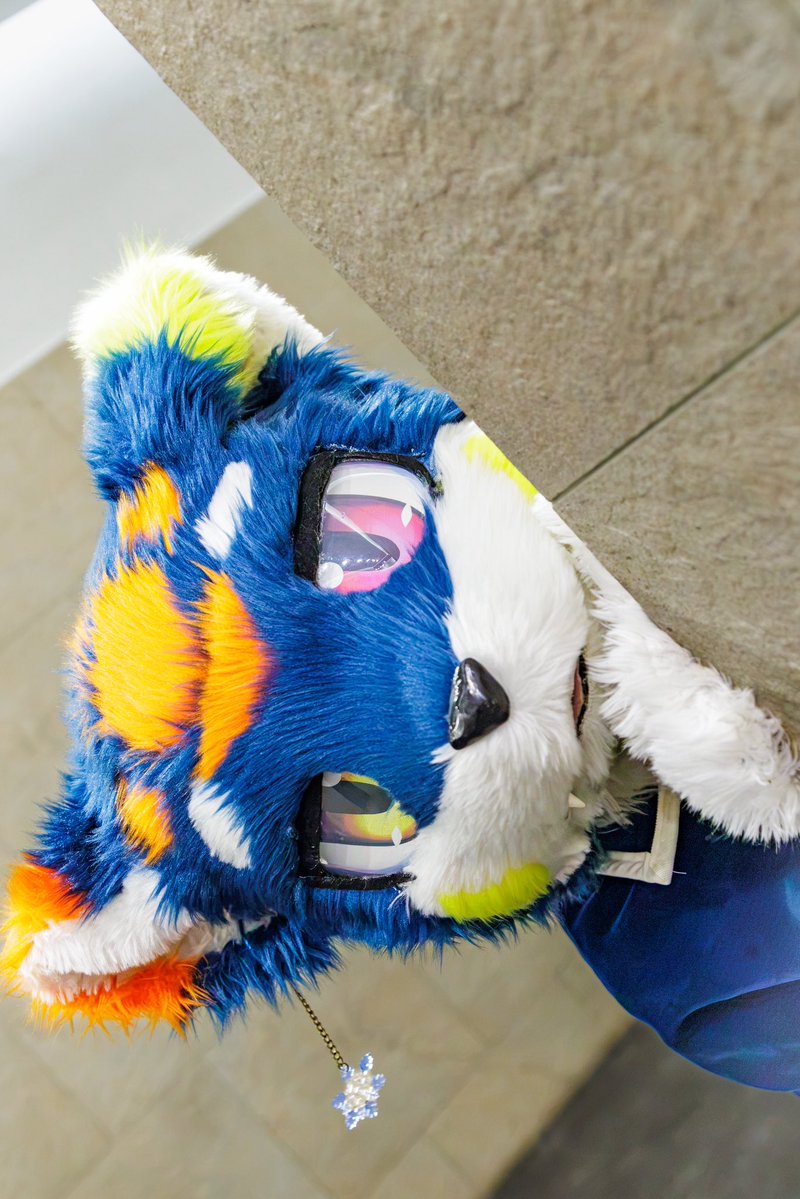 kjms903's tweet photo. ユッピめっっっちゃ可愛い

#퍼레이드2026 #furraid #furraid2026 https://t.co/vKJtIgPNvG