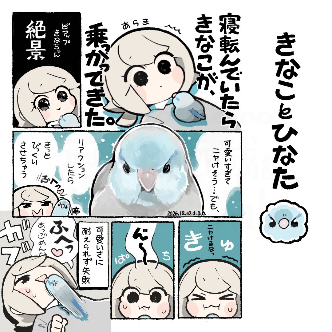 furuto_memo's tweet photo. 🤭

#インコ #マメルリハインコ #イラスト #illustration #漫画が読めるハッシュダグ https://t.co/QZ3bU5S0Nz