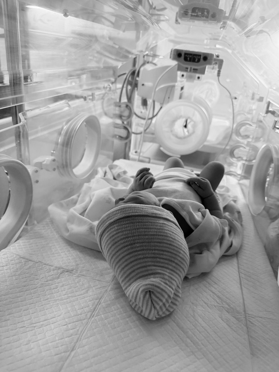 JuanGratereaux's tweet photo. Gracias, Dios, por este regalo. Hoy nació nuestro hijo Mauricio y con él, una nueva razón para todo. Bienvenido, hijo mío. 🙏🏼🤍 10/10/2026 #ElParalegal2 de @lexsiderd  📸 fotos @wentactuk @primerrespiro video mi doc  @franciscomartinezcabruja https://t.co/SGZ736p2sP