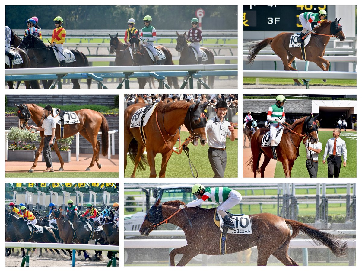 MSpecialweek's tweet photo. フェロニエール、お疲れ様でした。やっとこさ辿り着いた復帰戦が１分５２秒台の決着、上がりの速い競馬で後半苦しくなってしまいましたか。まずは反動が出ないように願うばかりですが、今のこの仔に合う条件を再検討するとのことなので、何とか使っての上積みを持って次走に臨めたらいいですね🌠 https://t.co/mR6gAKVhaK