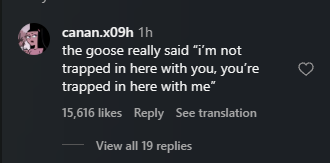 000xy_0's tweet photo. GOOSE SCARING AWAY A TIGER IS GOING MEGA VIRAL RN

This is about to be the most viral animal ever I swear, the video already has 2.3M VIEWS IN JUST AN HOUR.

The goose literally got attacked by a tiger inside a zoo cage and scared it away having "Alpha" fit it perfectly.

https://t.co/potX9kKPma