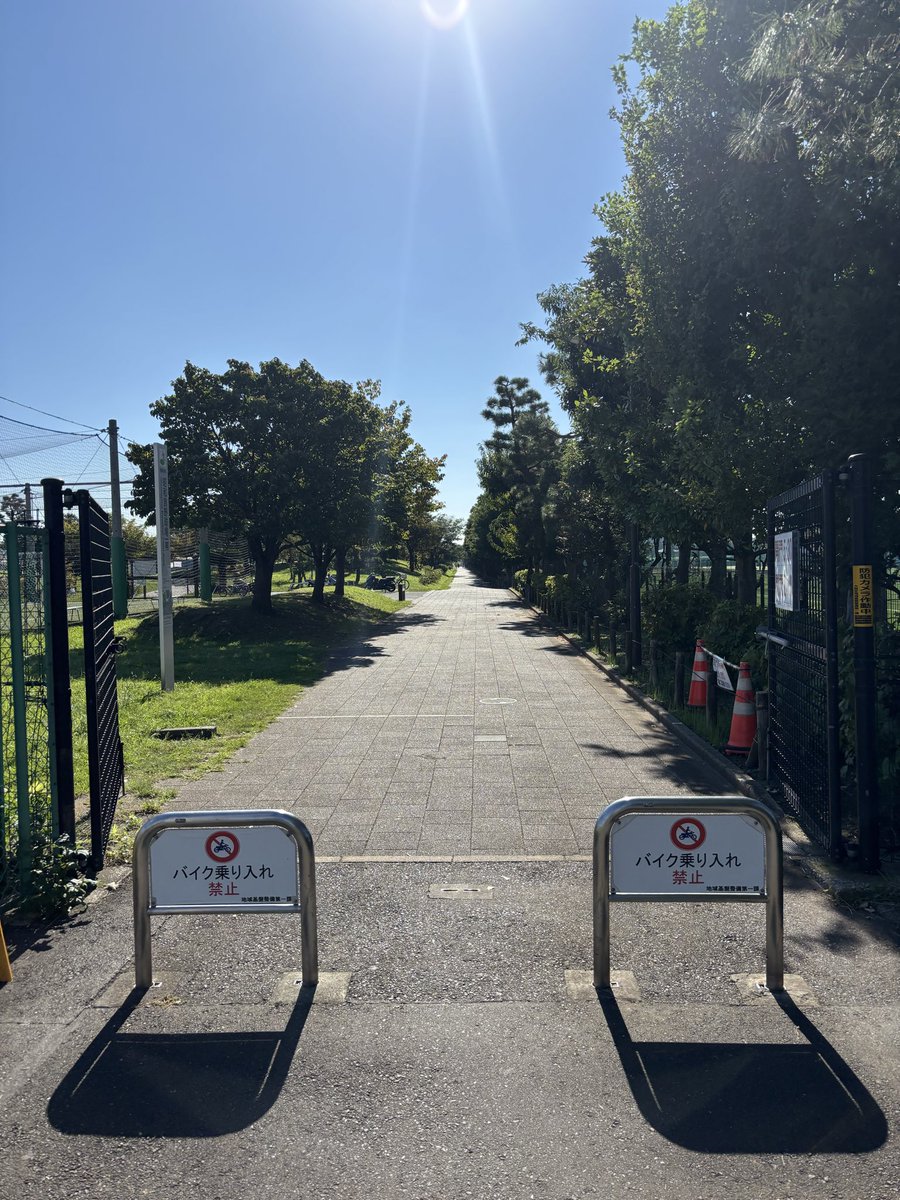 snoop0920's tweet photo. 大田区の休日日記⑥
ランニング→大森ふるさとの浜辺公園→帰宅（掃除、バナナ）→川崎（中華料理、シーシャ、阿波踊り）→浜竹図書館→トンカツ屋
#大田区
#浜竹図書館
#大森浜辺公園
#川崎
#阿波踊り
#トンカツ屋 https://t.co/HxZoSKDXBA