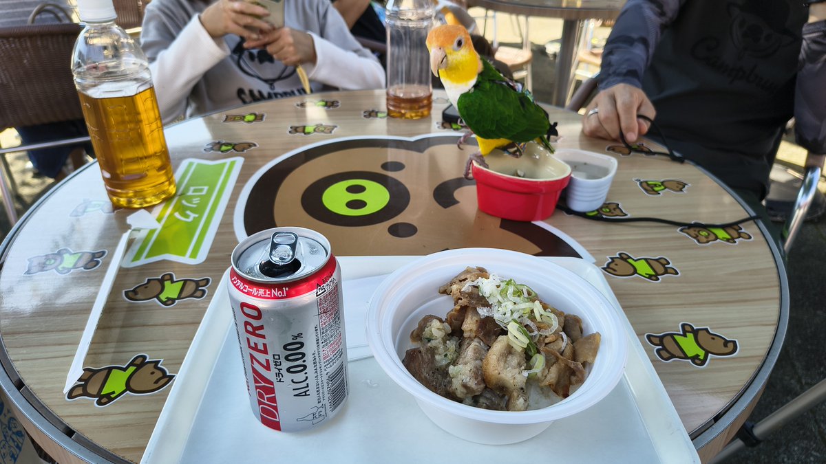 piro_tori's tweet photo. @DagayaKinka めっちゃ美味しかったんですが、肉が多すぎてご飯が足りなくなるという😂
（今日はありがとうございました！） https://t.co/AMRD0I6M5P
