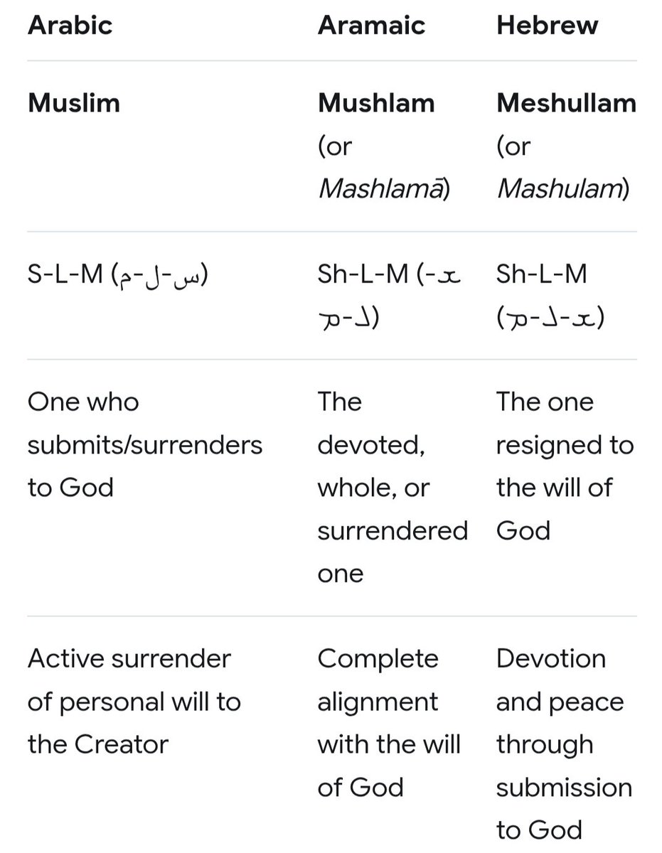 Ideelsaleem's tweet photo. @InspiringPhilos Basically, Jesus is telling you to be a Muslim, meaning submit your will to God. https://t.co/DfgNI7V7sk