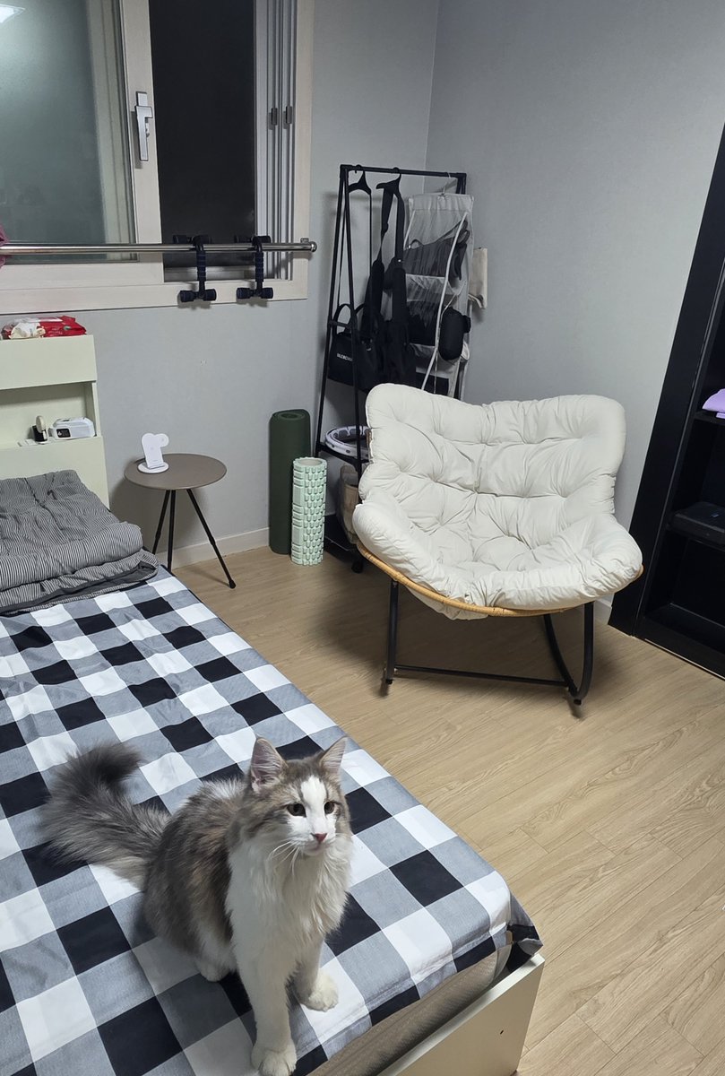 190212_'s tweet photo. 동생한테 안방 넘기고 작은방을 꾸며놨지만 생활은 거실에서 하는중 

(답답한거 싫어 인간) https://t.co/leOycP6wOi