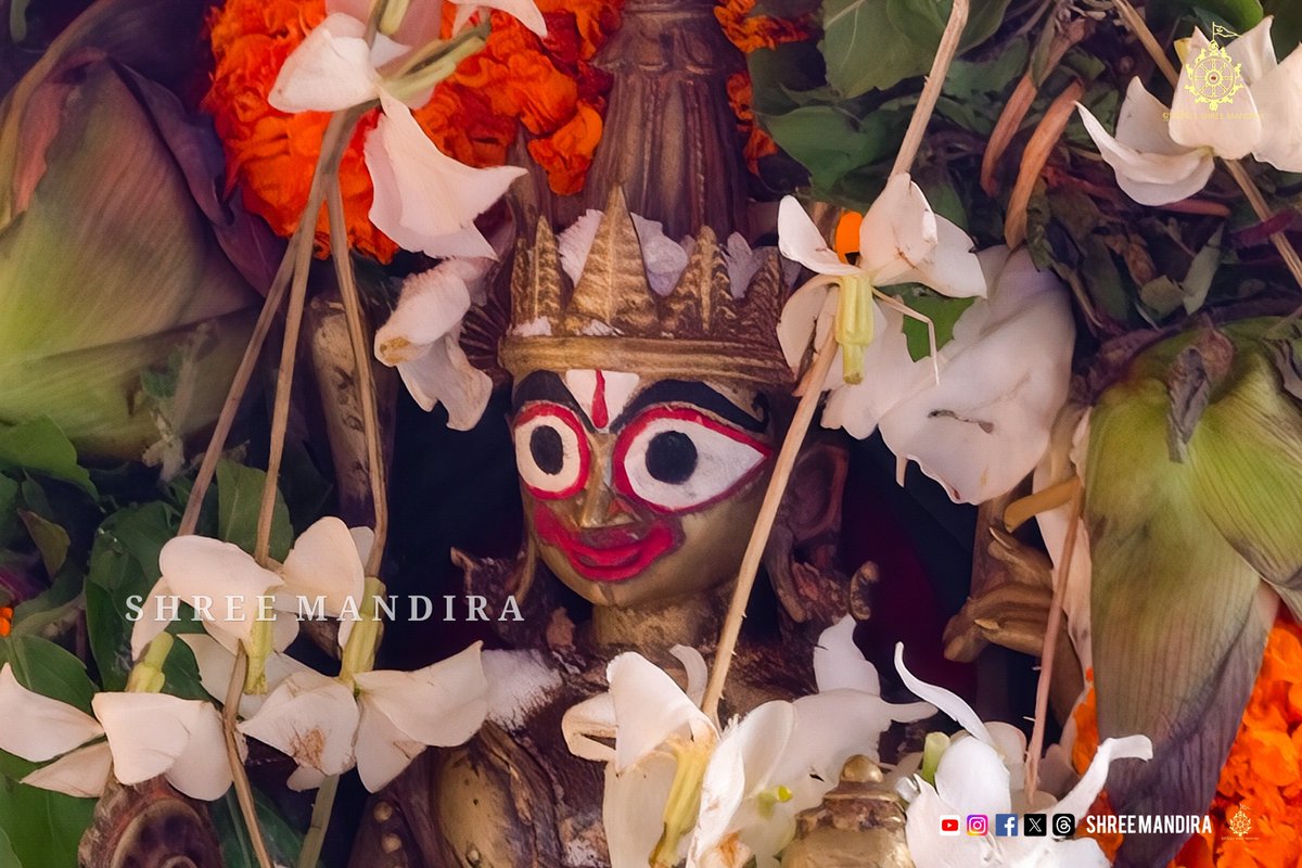shree_mandira's tweet photo. ଅମାବାସ୍ୟାରେ ଶ୍ରୀମନ୍ଦିରରୁ ଅମାବାସ୍ୟା ନାରାୟଣଙ୍କ ସାଗର ବିଜେ ନୀତି ।

Sagar Bije Ritual of Amabasya Narayana on the occasion of Amabasya. https://t.co/3M496uyAPm