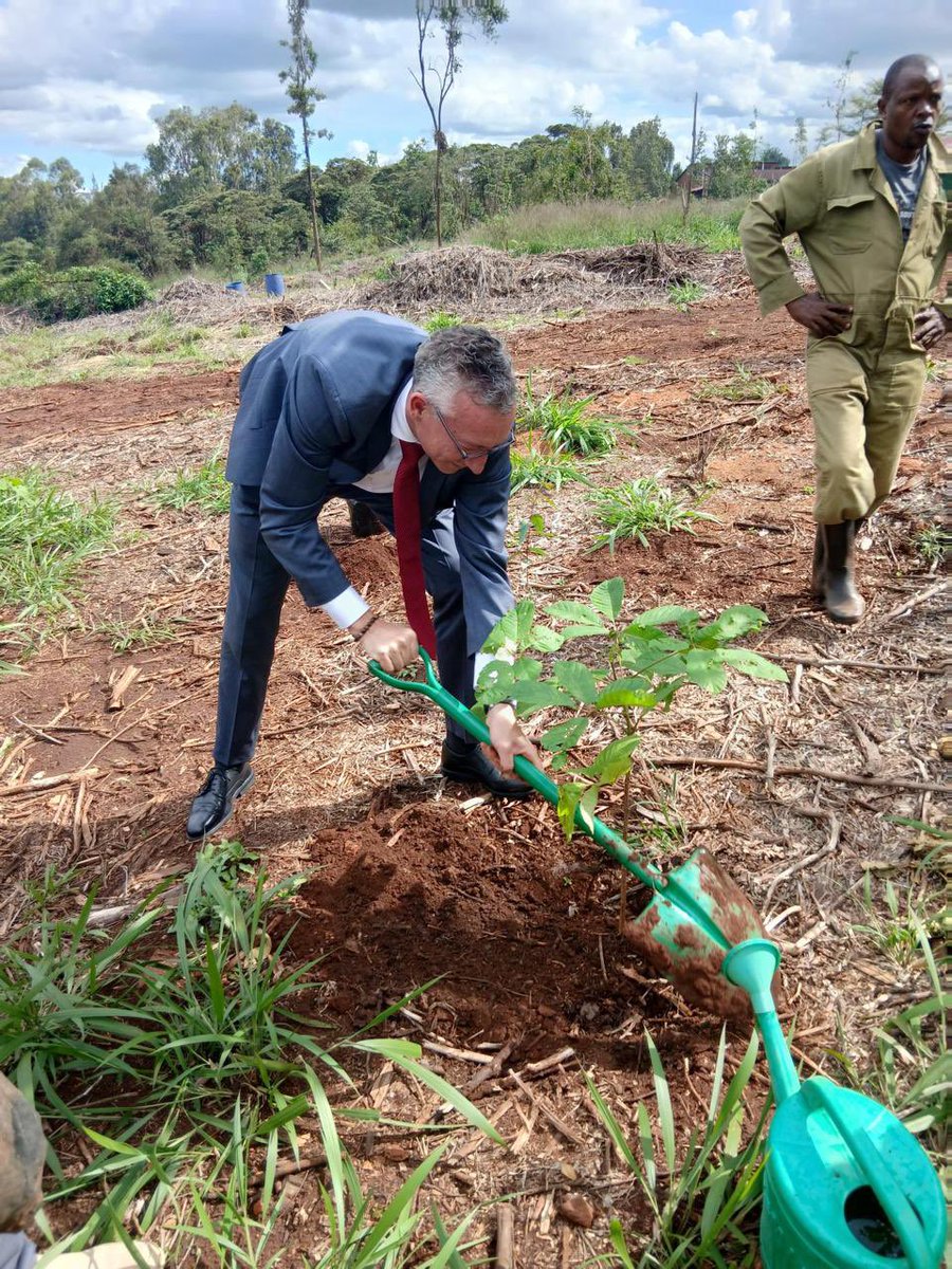 Environment_Ke tweet picture
