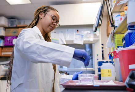 USFResearch's tweet photo. USF Health researchers are exploring a gene therapy that could slow the progression of canine cognitive decline while potentially offering new insights into Alzheimer’s disease in humans. https://t.co/e2LeTBMQB7  #GeneTherapy #CanineHealth #AlzheimersResearch #USFHealth https://t.co/AhIUZaoBd8