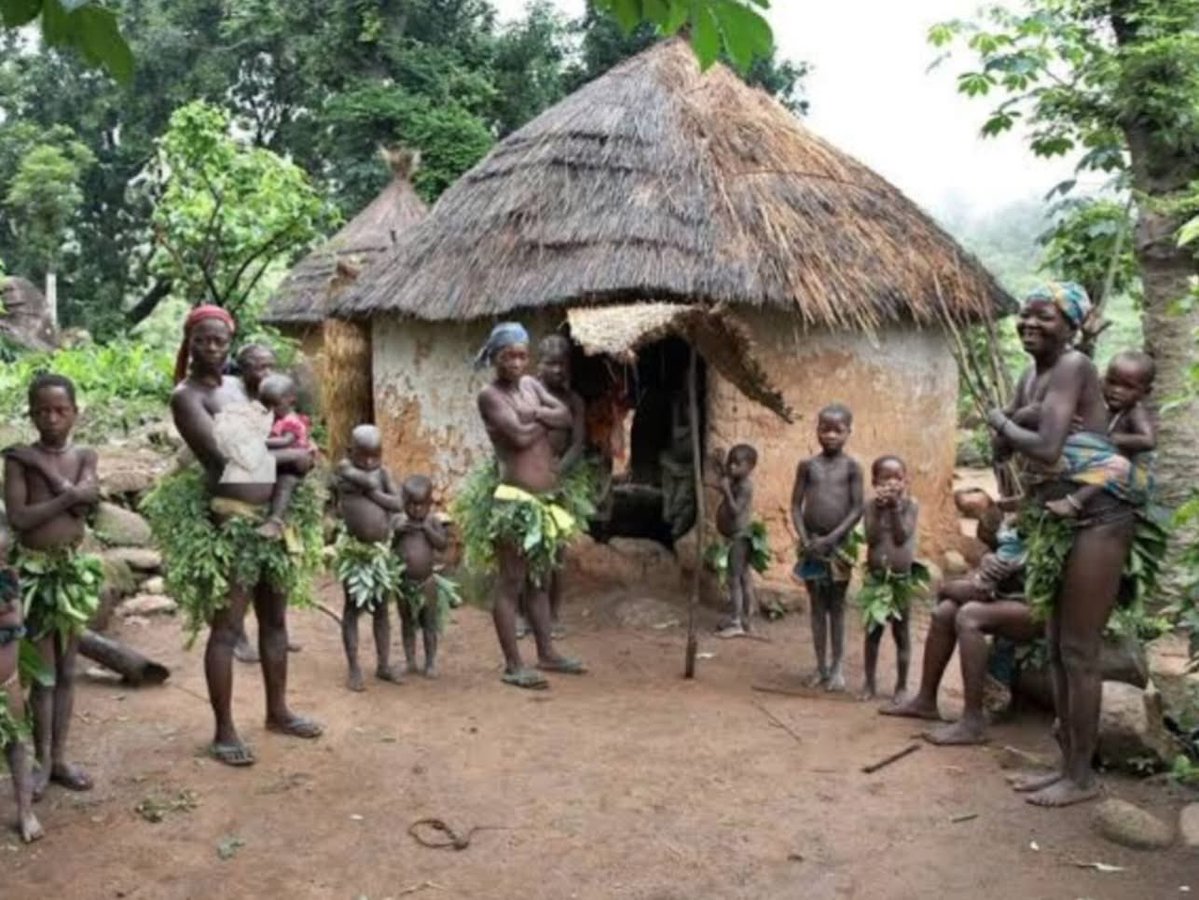 gakuru_ian's tweet photo. @Ayo1414196 Nigerians have everything worse. Including their indigenous communities, the Maasai compared to Nigerian indigenous communities is night and day difference. Let’s be real. I know you regret being born in that shit hole. https://t.co/6piuKENsq9