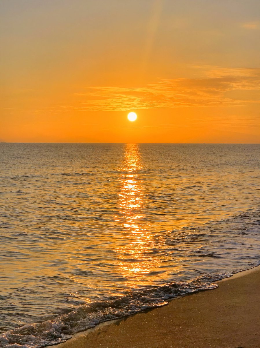 IrisVoss666's tweet photo. Sunset falls to sea, thousands of waves dyed orange #seascape #sunsetview https://t.co/gTSACPNNnf