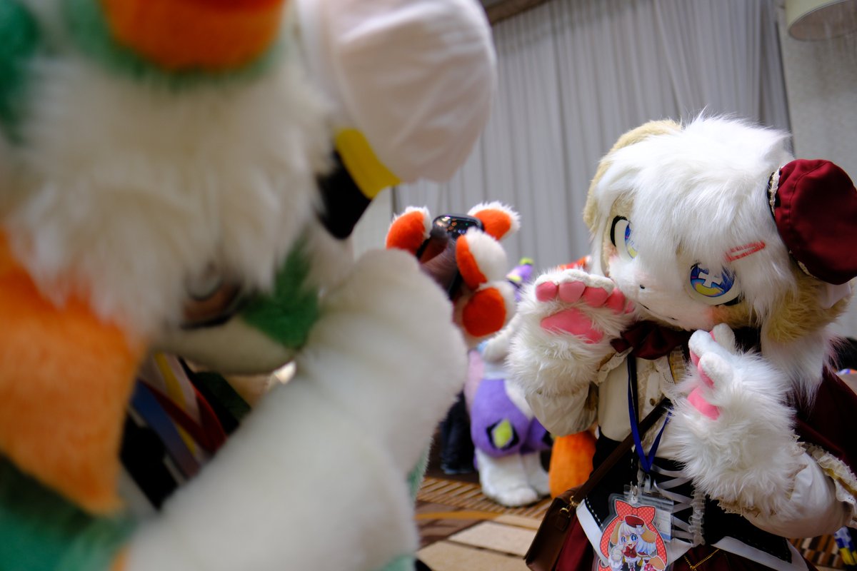 SeiranM6A's tweet photo. あまちょがイオハくんとツーショットしてるとこを撮影！
あまちょもいい写真撮れたみたいでご満悦
 #しがもふEX https://t.co/FLvDnKpK8L