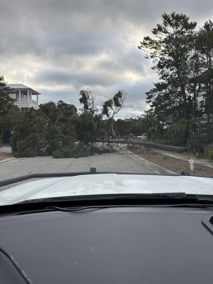WCSOFL's tweet photo. At first light. 

@WCSOFL deputies are out surveying damage and answering calls for service this morning. 

Much of the county is still without power.

The traffic light at 331 S and Highway 20 is functioning. https://t.co/j1vjqBMOsP