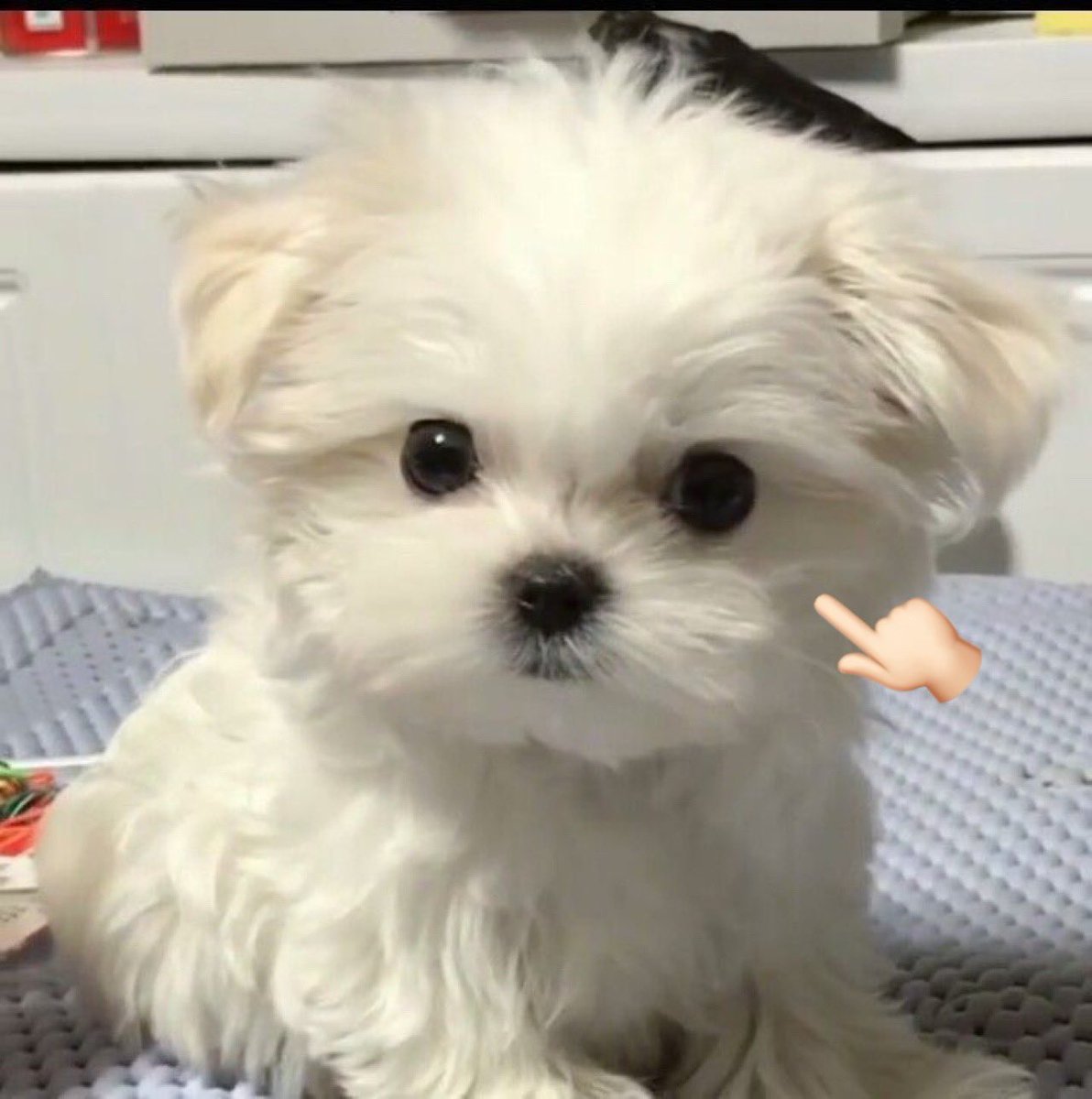 uppuilove___'s tweet photo. #이거범규 https://t.co/lFiaqKNFsA