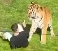 BNODesk's tweet photo. BREAKING: Man seriously injured after entering tiger enclosure at Yorkshire, England zoo, police say https://t.co/9eGptJBsAy