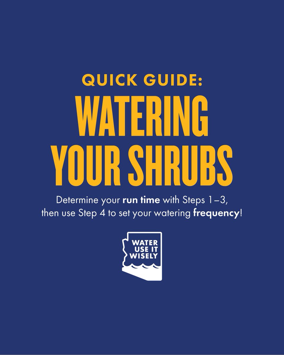 WUIW's tweet photo. Get to the Root of Better Watering 🌱 

How do you know how long to water your shrubs, groundcovers, and vines? It starts with understanding your plants’ water needs and how much your drip irrigation system delivers.

Our 4-step guide helps you determine how much water your plants need, measure your emitter output, calculate the right run time, and adjust watering frequency with the seasons. 

Get the guide at https://t.co/jKXh404l4W

#WaterUseItWisely #SmartWaterUse