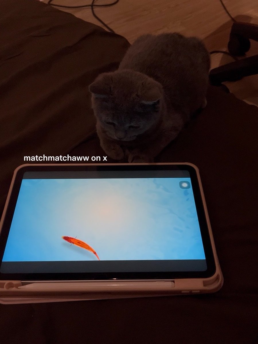 matchmatchaww's tweet photo. ni bocil sotoy banget kalo dikasi nonton ipad 😭🤏🏻 https://t.co/ExE9DBPYYq