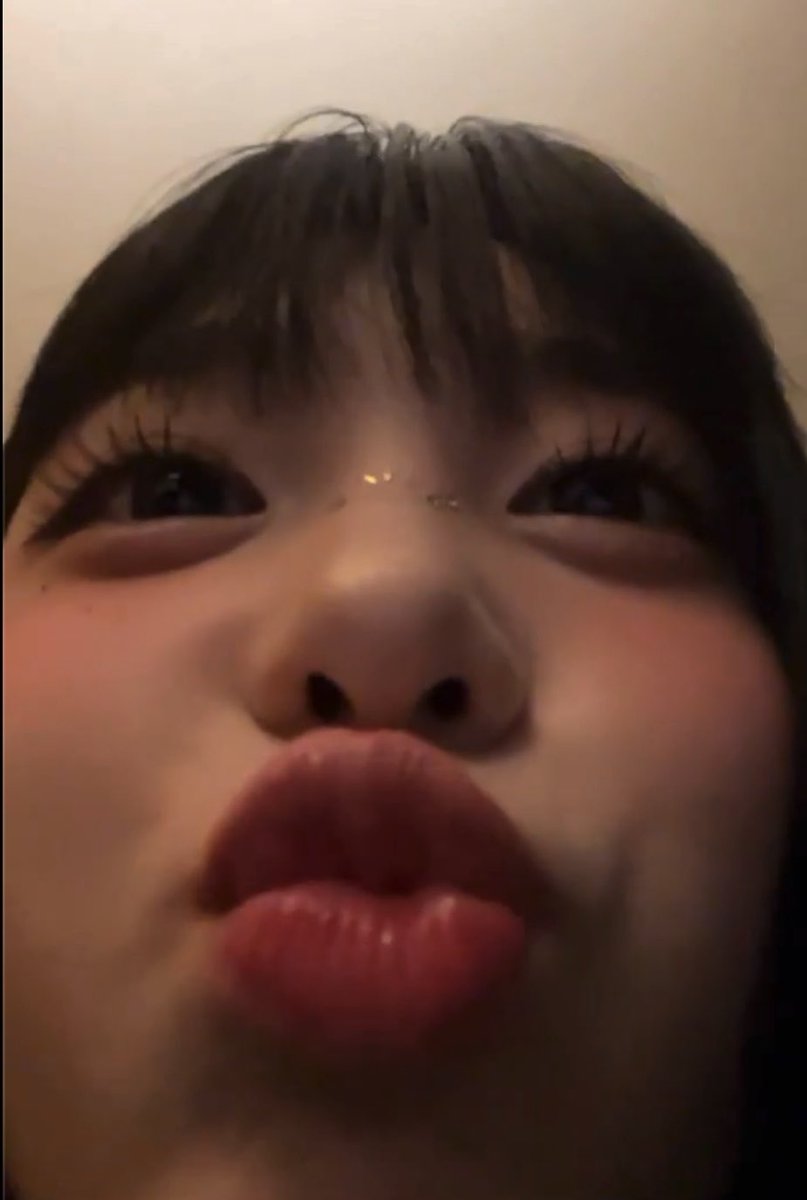 imnotachan's tweet photo. 돼잉이🐽 https://t.co/3m6cNLOWi9