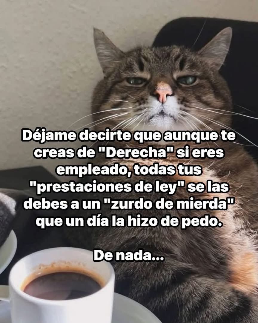 JORDELAS1's tweet photo. Para los pendejazos fachirolos 🥸😆 https://t.co/fqWGD7DNMo