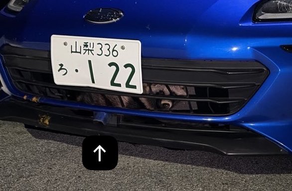 Jade_ZD8's tweet photo. @fumifumifumi_mi 仮に足が動いたとしても矢印の所からにゅるっと入ったので無理です https://t.co/wUbTBdzfG3