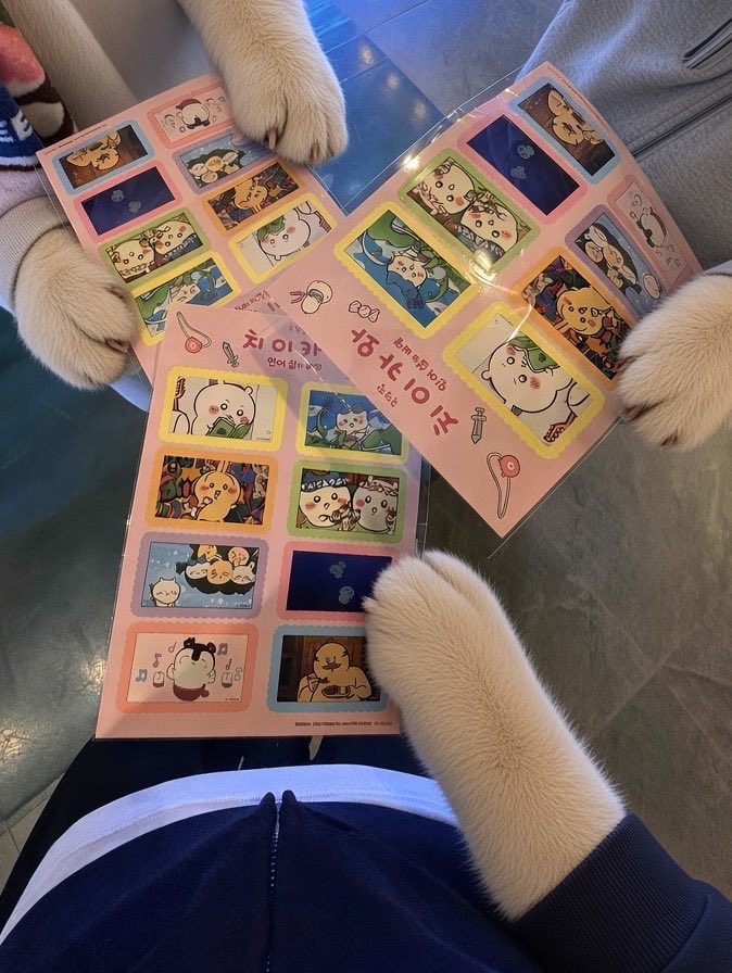 meow9b's tweet photo. 치이카와를 보고왓어요
내 최애는 우사기 https://t.co/GAE3wB9aUZ