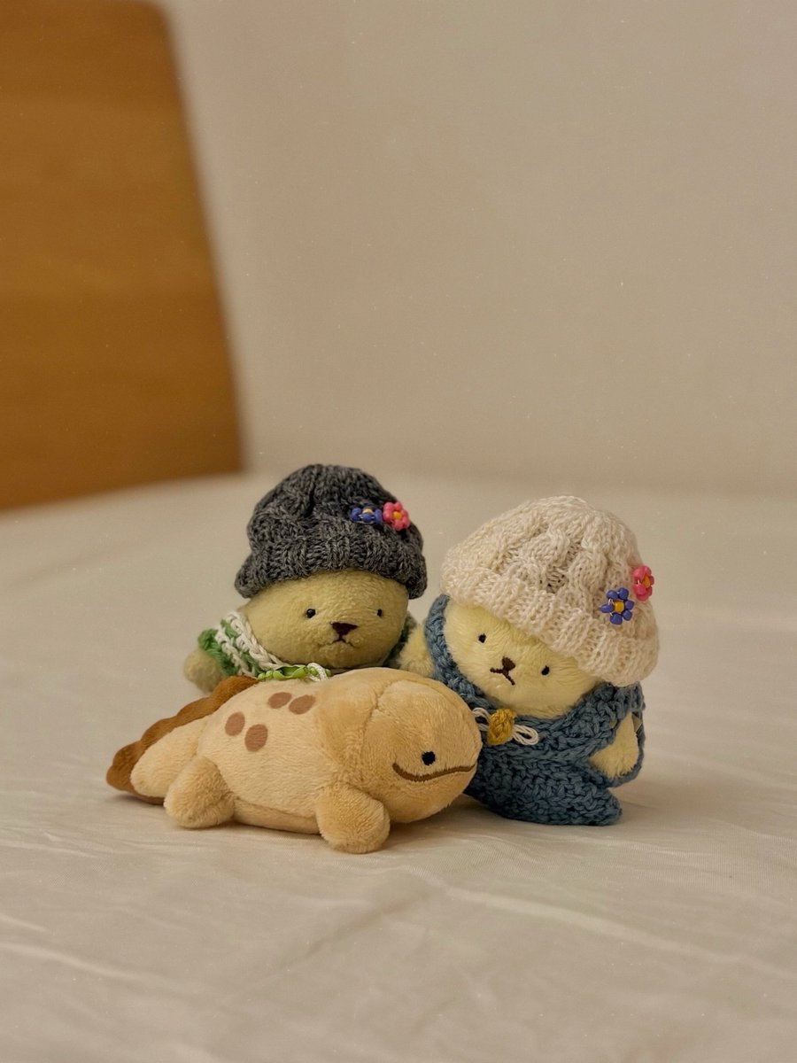 kotsubu_purin's tweet photo. 今日新しくやってきた住人とふれあいタイム https://t.co/lQnXep2uKp