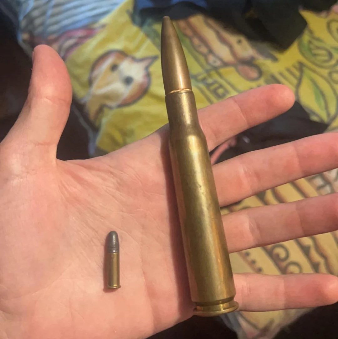 acitruscrush's tweet photo. here's a comparison between a .22, a common round used in rifles, and the bullet Frank shot Peter with, a .50 BMG caliber bullet. and this is the damage it's capable of https://t.co/qq2kxYSSIB
