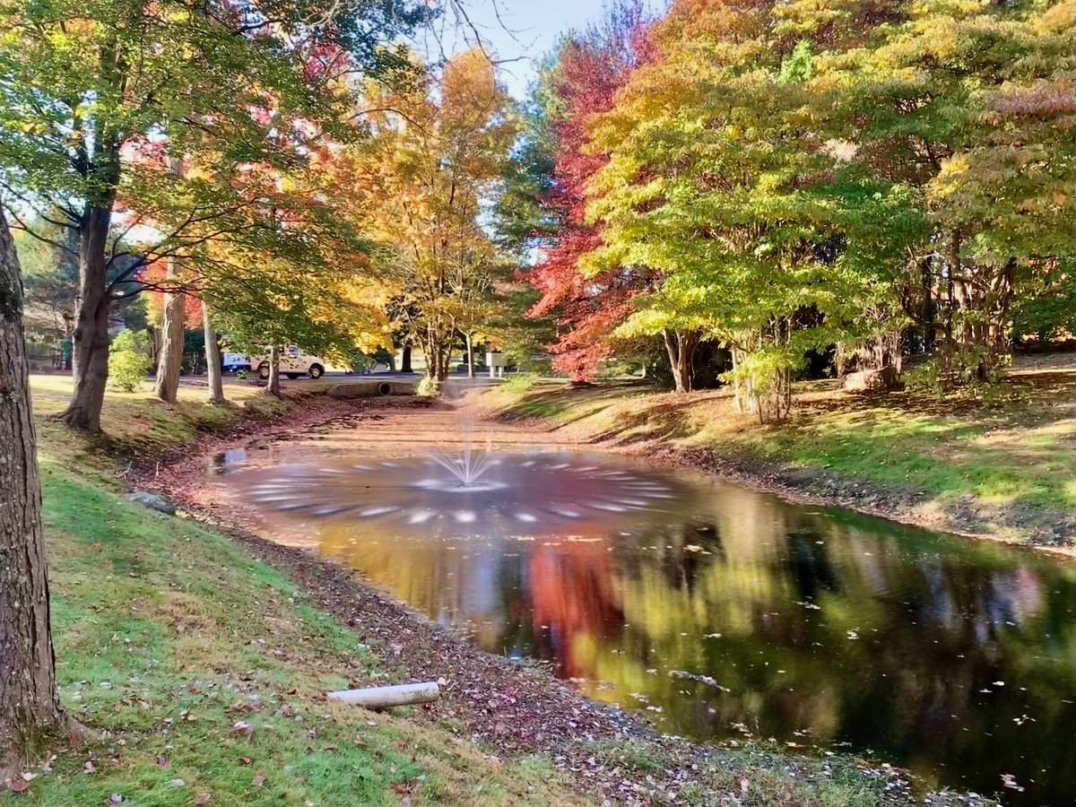 thepondandlake's tweet photo. There's something special about the beauty of autumn reflected in the water. 💧

#FallColors #AutumnViews #NatureLovers #WaterfallViews #FallScenery #PondAerator https://t.co/3uTioRe3PE