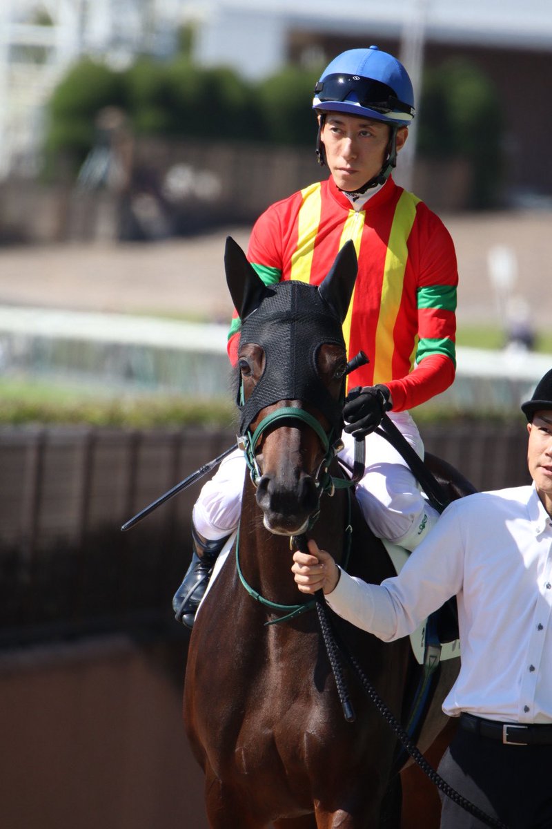 clvermayumi's tweet photo. ラッパースヴィルと津村ｻﾝᵕ̈*
貴徳先生厩舎の子- ̗̀( ˶'ᵕ'˶) ̖́- https://t.co/2Pk1RKJWqY