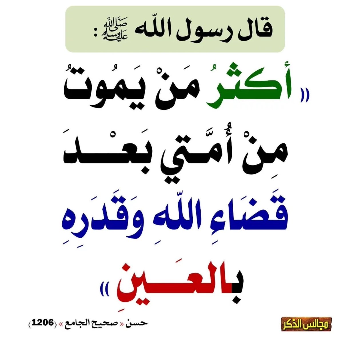 saeedalkamali11's tweet photo. https://t.co/ZaaAM0OOVz