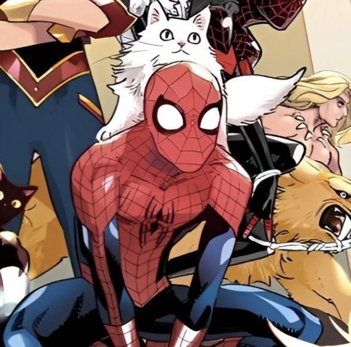 spiduhhman's tweet photo. https://t.co/RxKH3ZDLGO