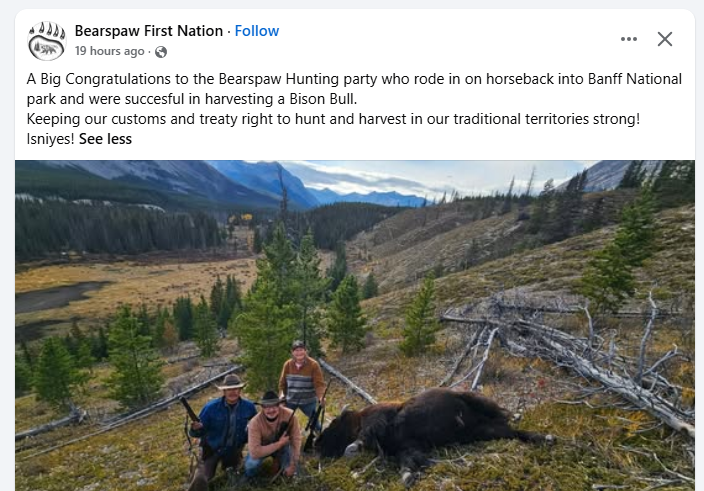 Martyupnorth's tweet photo. Parks Canada invested roughly $6.5 million over five years in a carefully managed pilot project (announced 2015, executed 2017–2022) to reintroduce plains bison to Banff National Park.

Now these guys get to hum them....because it's their tradition.  Using modern firearms, optics, trucks, synthetic clothing, phones, GPS, and more.