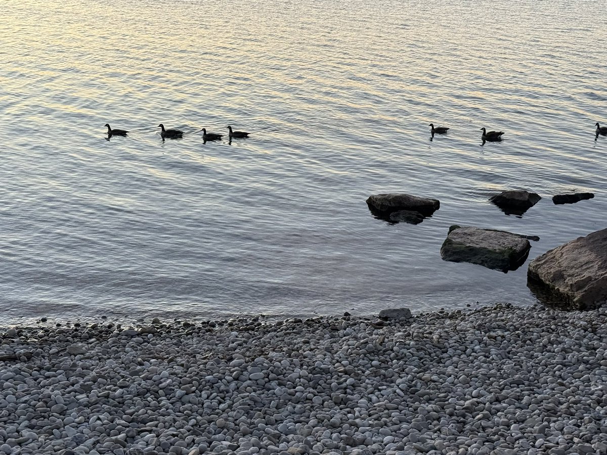 BankerCop's tweet photo. Canada ๐จ๐ฆ - Went for a run yesterday morning and stumbled on a gorgeous sunrise. Next time I need to be more intentional. Itโs the little thingsโฆ
#LiveIntentionally #Sunrise #TheLittleThings https://t.co/mMm5uAt4KD