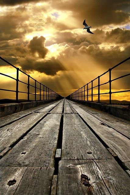 icandy247 tweet picture