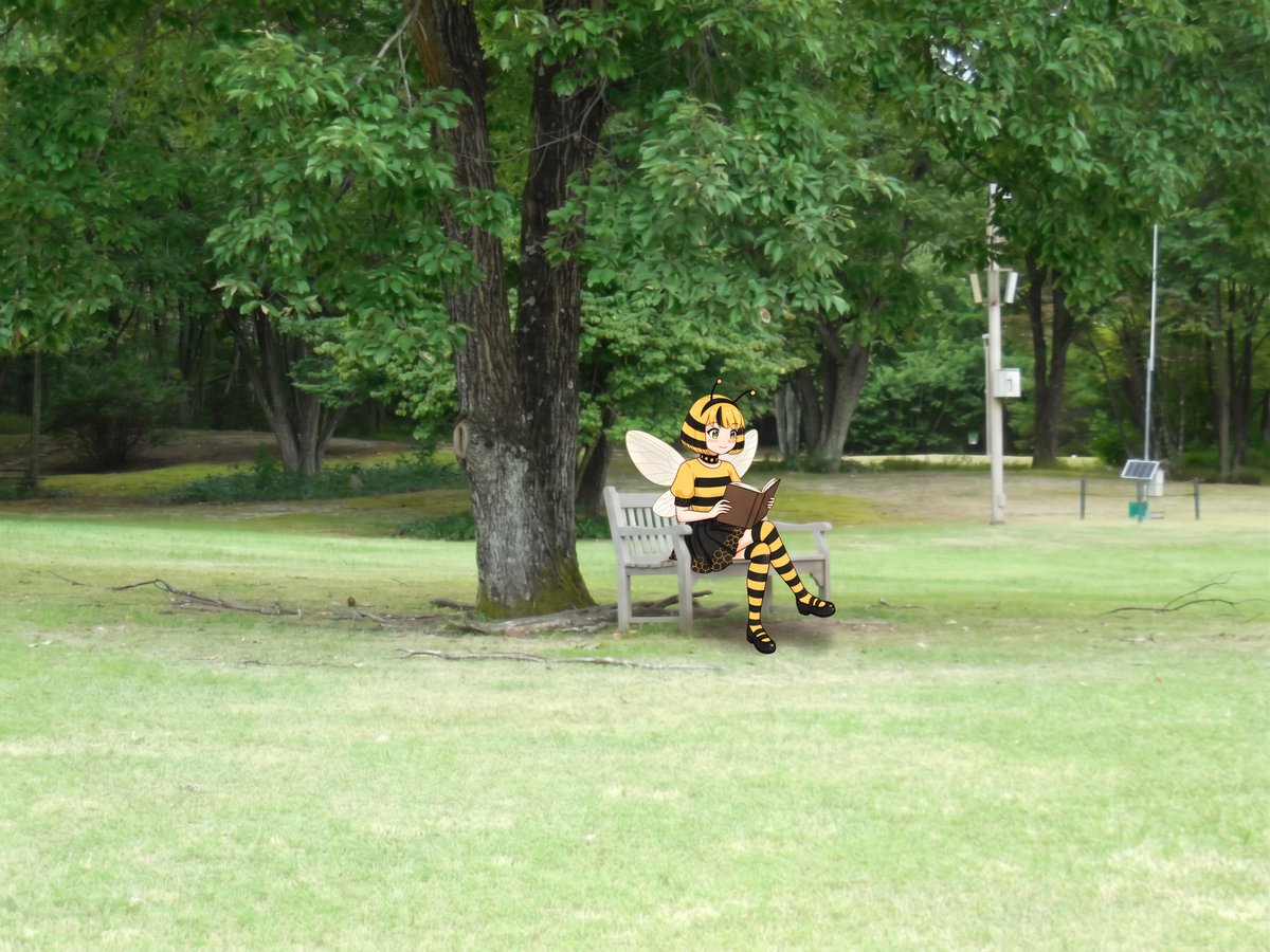 kirinriki44's tweet photo. 大草原を登ったところにあるベンチ。なんかすごく見覚えがあるなぁ。マクドナルドの昔のCM、ドナルド（今月からロナルドに名前変更されたんですっけ？）がアラーッてひっくり返ってる幻覚が見える。 https://t.co/VF0WE1Oxj4