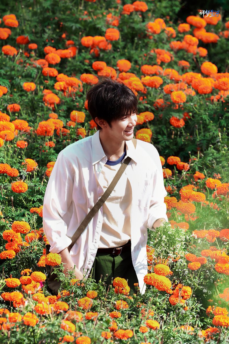 nanalikebts's tweet photo. this photo is absolutely beautiful and cute, reallyyyyy💐🌻🌼 https://t.co/FU50krYQCT