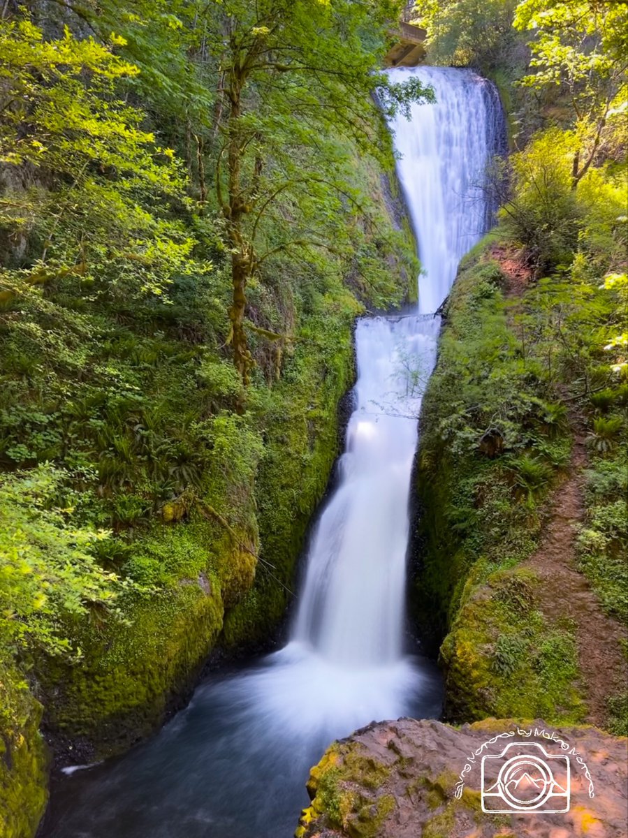 erinmdorffette's tweet photo. Today's theme is scenic landscapes

As a landscape photo, it's so hard to choose for me.... Here are a few from around the world! Can't wait to see yours!

👇Show me your #landscapes 
#nature #outdoors #landscapephotography https://t.co/61OPkFwK2f