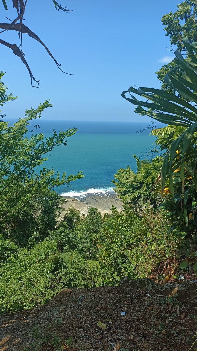 devtrivo's tweet photo. 📍Papua New Guinea https://t.co/0FzrlbEZlp